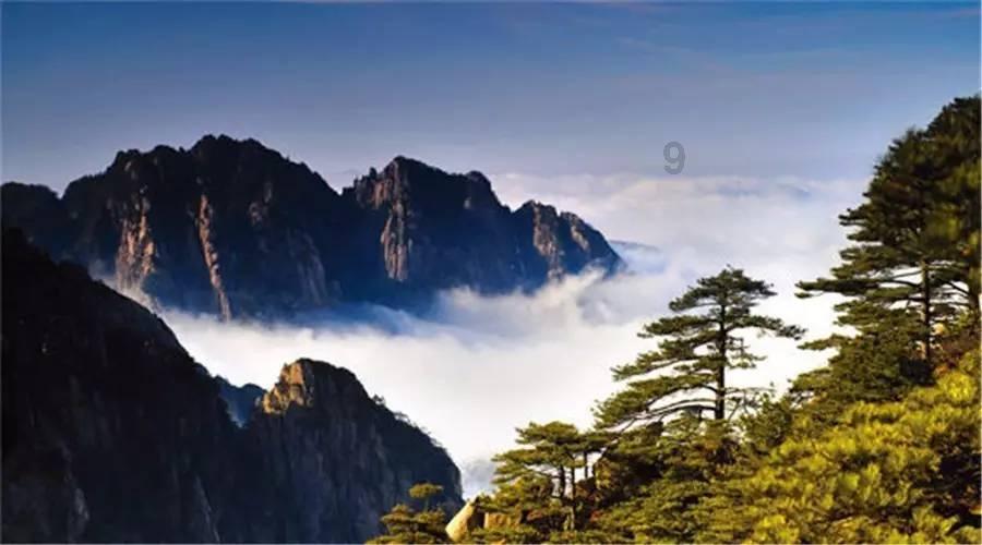 媒体人：扬科维奇带队以来，将国足从亚洲三流带到了四流水准